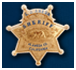 Sheriff Badge