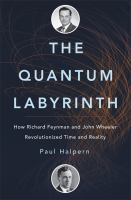 The Quantum Labyrinth book cover