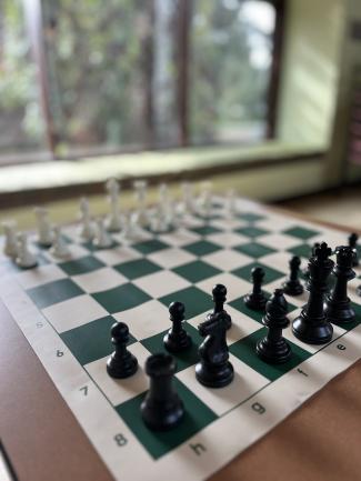 Chess pieces on a board. 