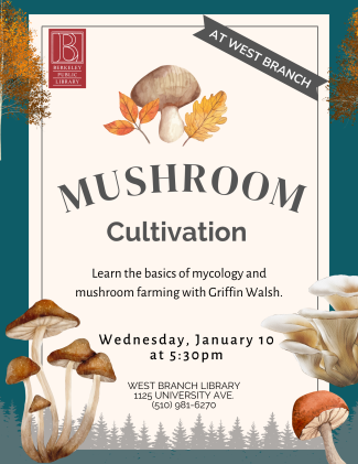 Mushroom Cultivation Flyer