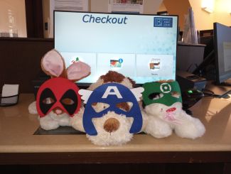 Three stuffed animals at the self checkout machine