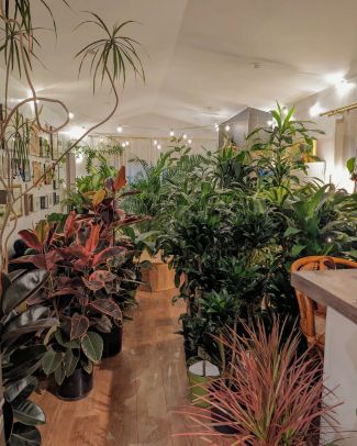 Plant store interior 