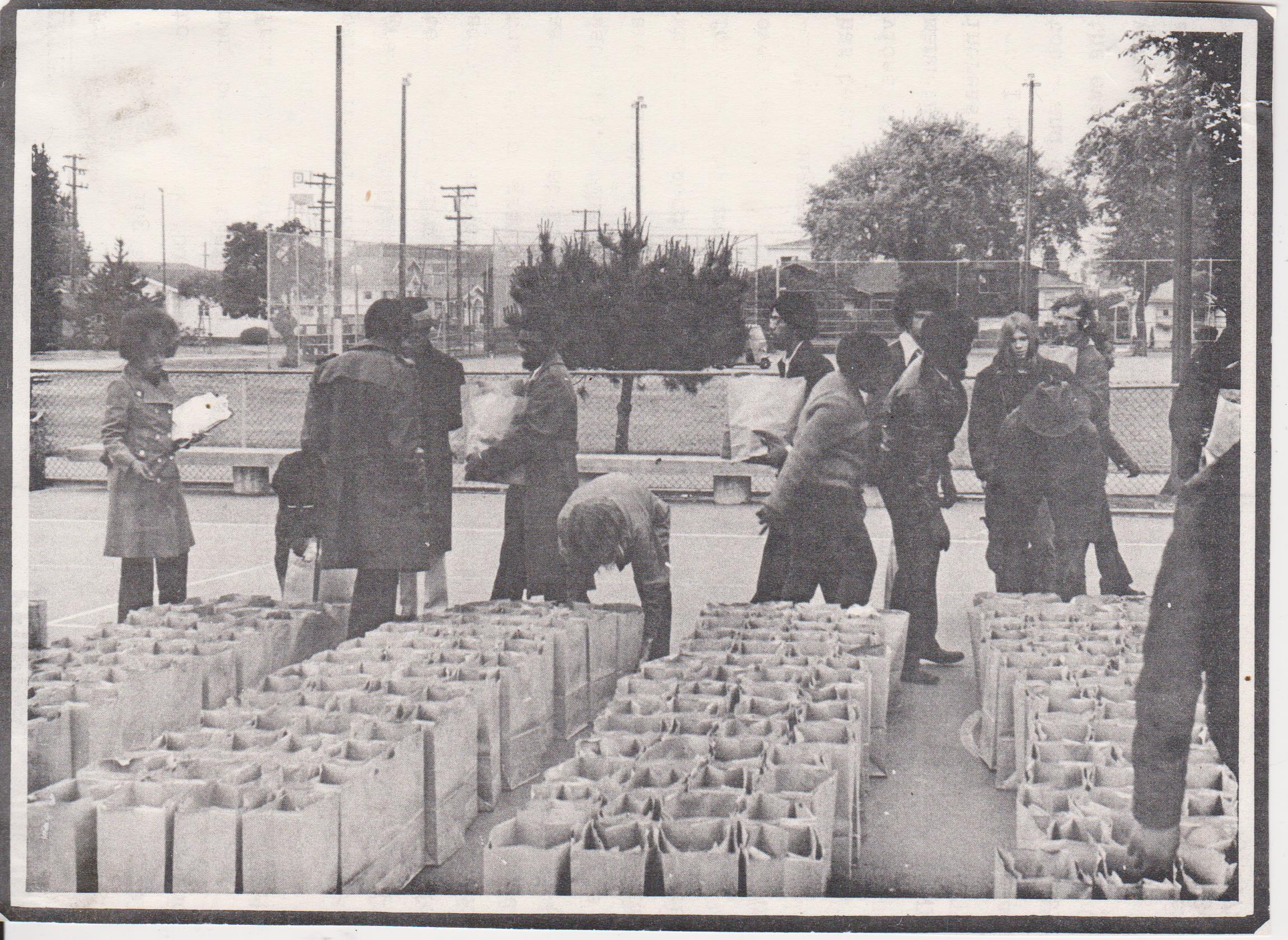 Scanned photograph in a newspaper, showing rows of grocery bags in a public park and about a dozen people milling around to pick them up