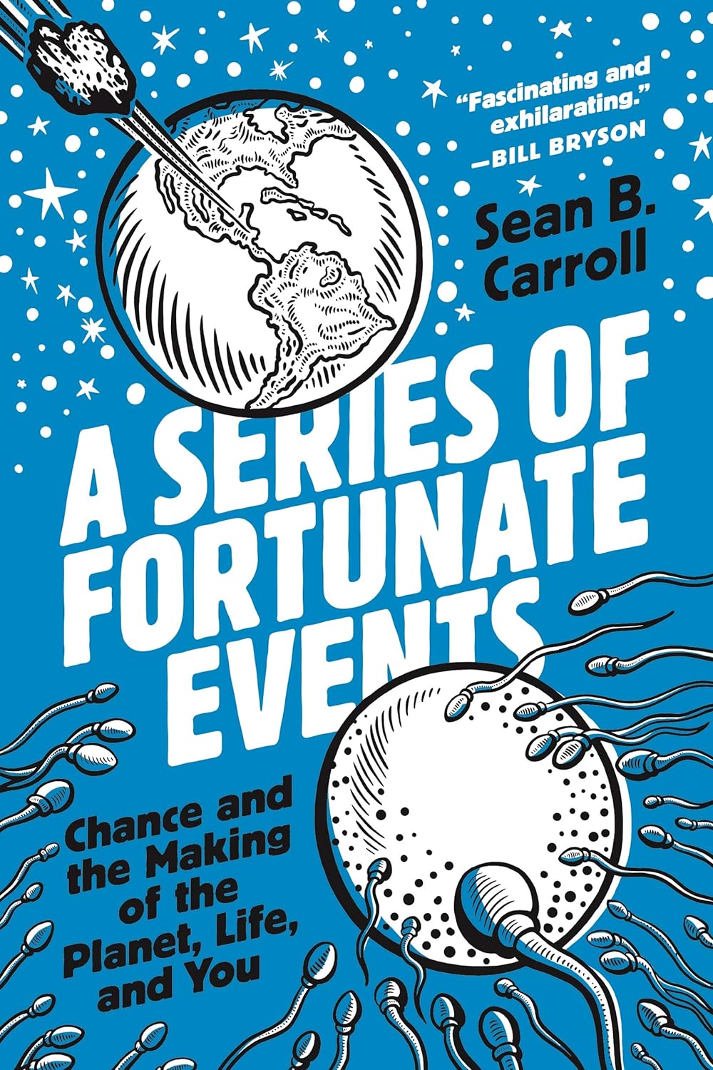 A series of fortunate events book cover
