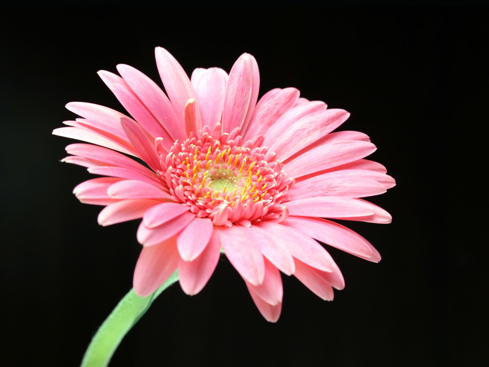 Related image
