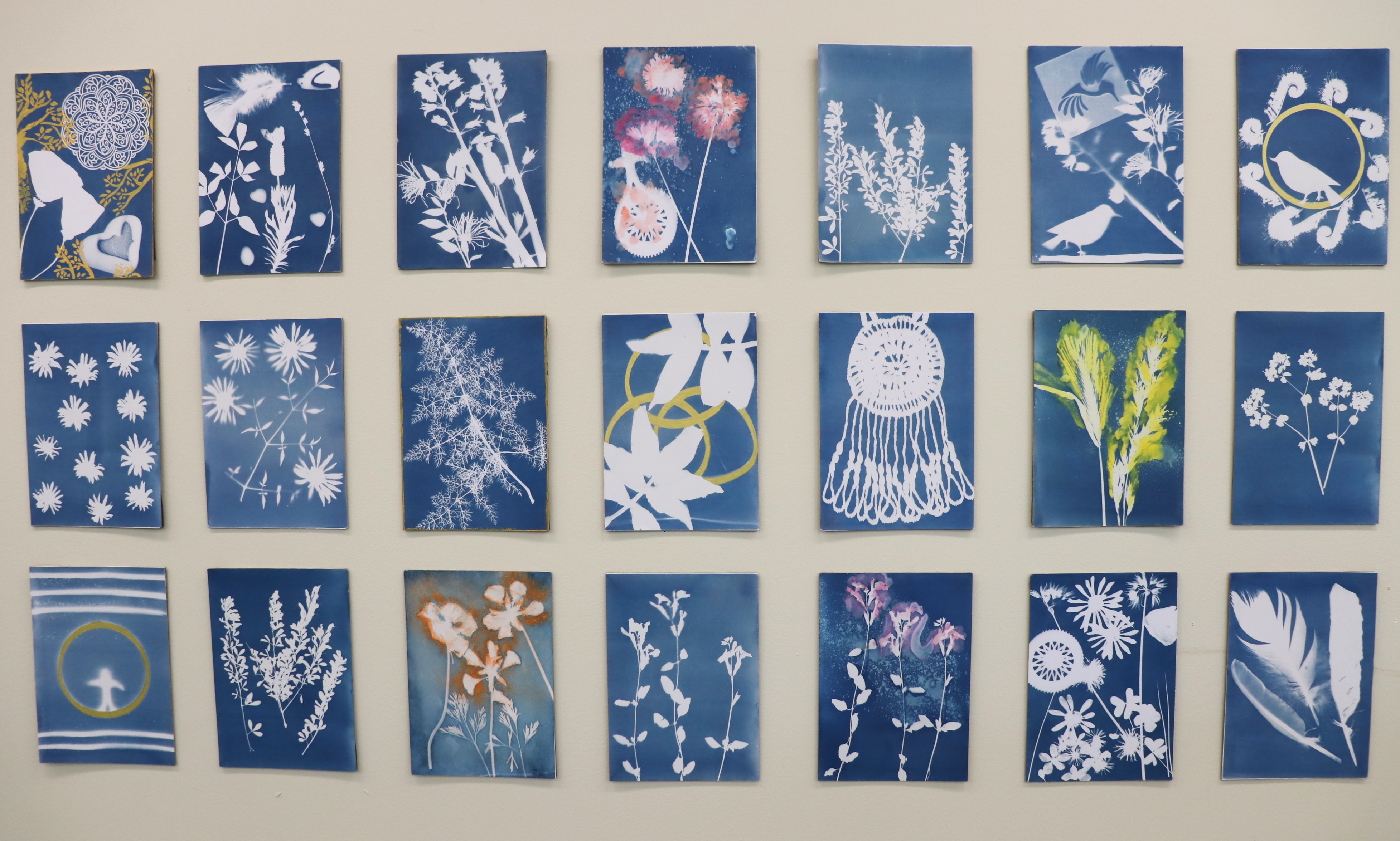 21 cyanotype prints on paper arranged in 3 rows of 7