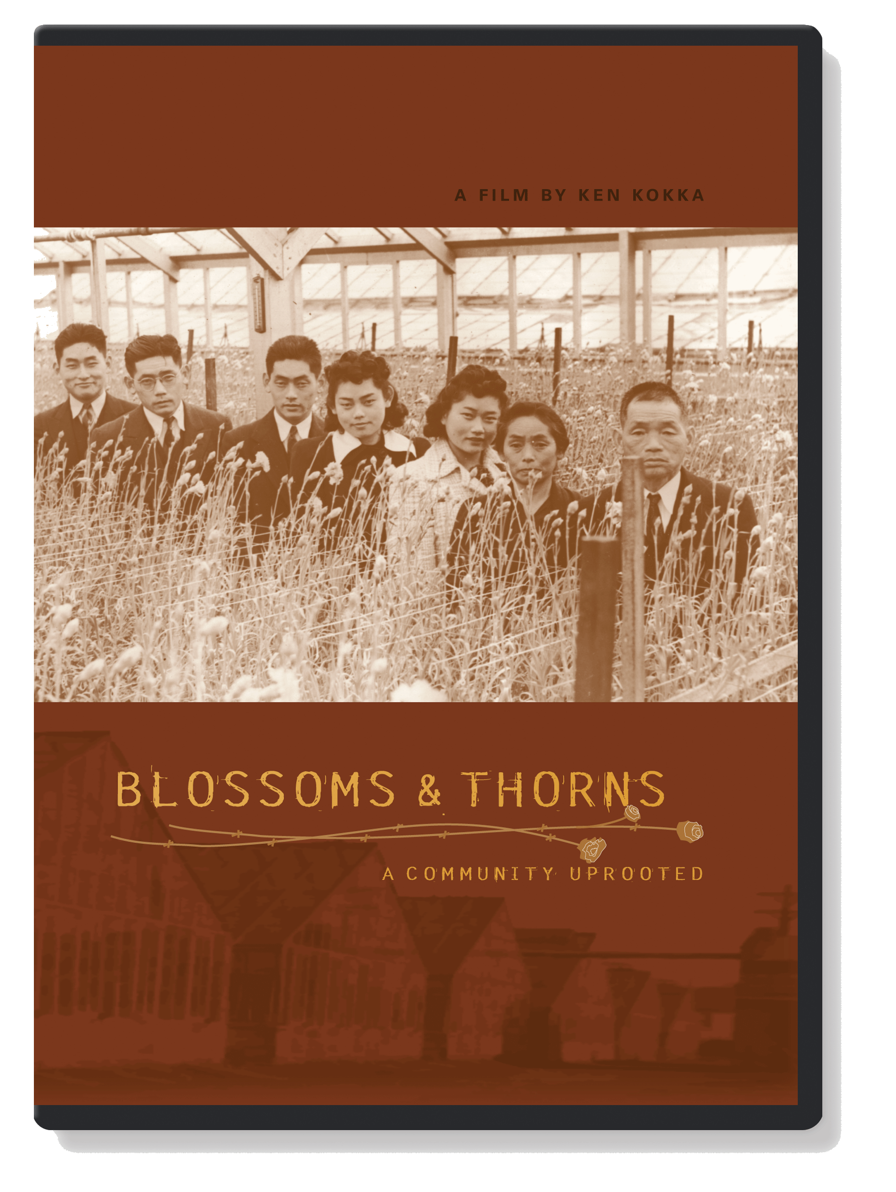 Blossoms & Thorns Blossoms & Thorns