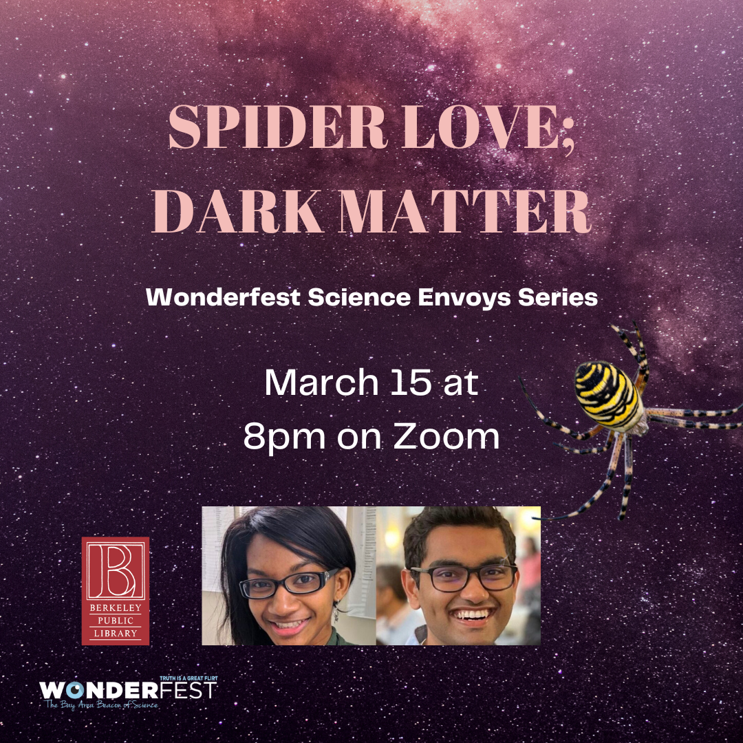 Spider Love;Dark Matter - Science Envoys