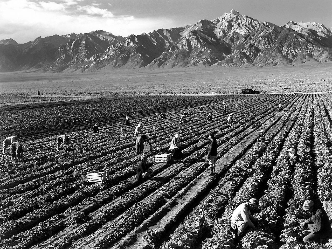 Black and white photograph of farm with workers with mt williamson in the background.