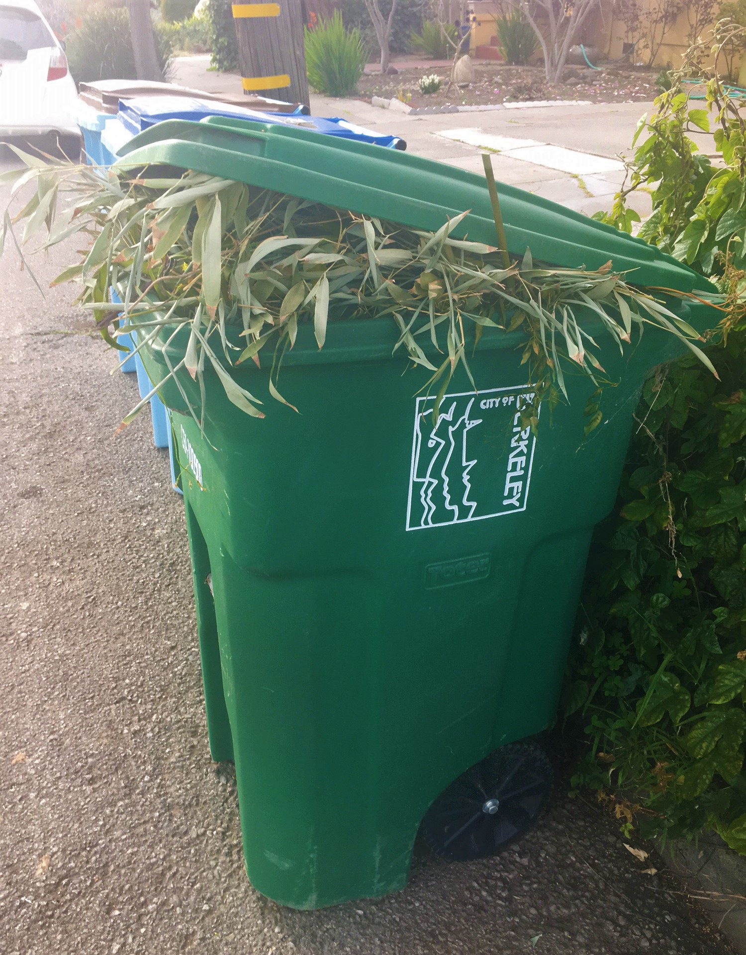 BerkeletGreenBin