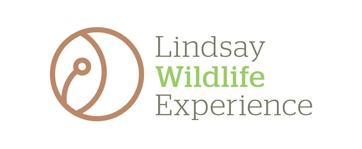 Lindsay Logo