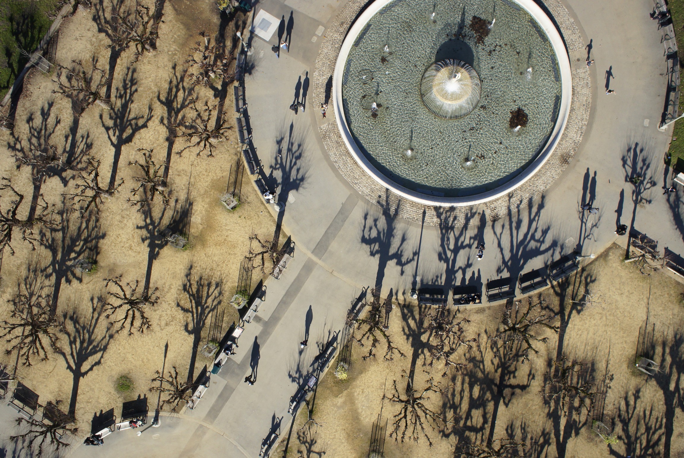 Trees and Fountains