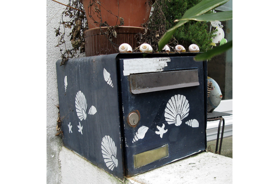 Mailbox with shell prints and actual seashells