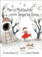 Morris Micklewhite and the tangerine dress book cover.