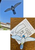 Falcon craft laid out on table and hung in window