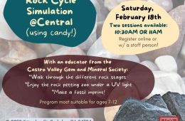 Rock Cycle Simulation Flyer
