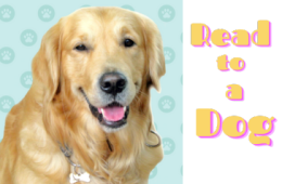 Read to a Dog program