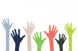 hands reaching up to volunteer