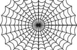 Web