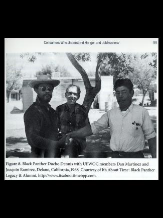 Three men standing under trees in farmland
