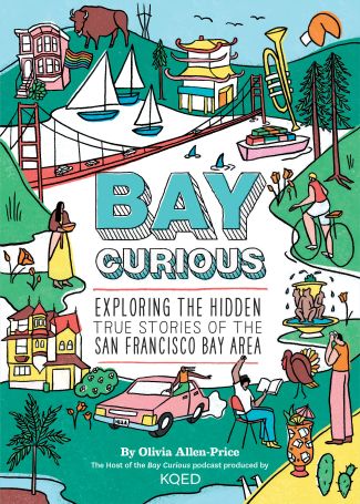 Bay Curious Cover