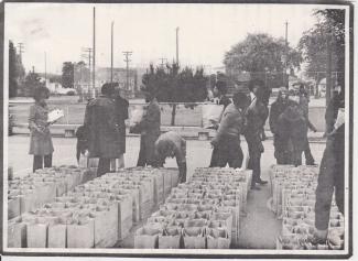 black andwhite photo of bags filled with groceries for free giveaways by Black Panthers at San Pablo Park in Berkeley, CA