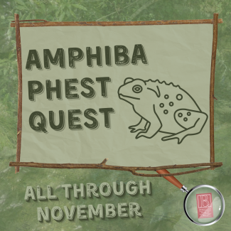 Amphiba Phest Quest 