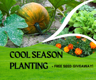 photos of plants in a garden with event title