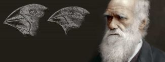 darwin with birds