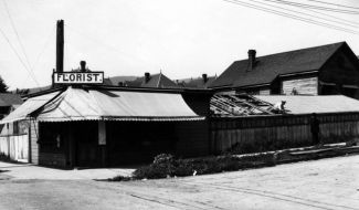 Florist and Greenhouse  Addison at (now) Shattuck c1890