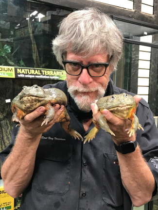photo of man with white hair holding two large frogs