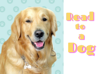 Read to a Dog
