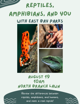 Green Reptiles, Amphibians, and You flyer.
