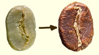 Roasted coffee bean