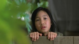 girl looking over a fence surrounded by leaves