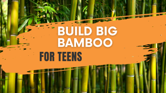 Event title on bamboo background
