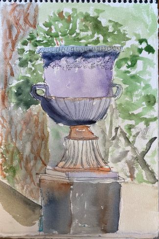 Vase watercolor sketch