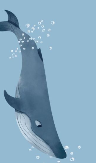Whale