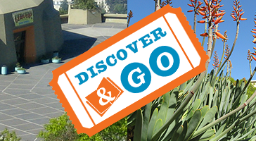 Discover and Go Logo