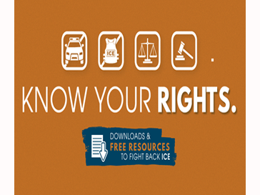 icons for police car, Vest, scales, gavel