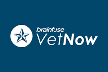 Brainfuse Vetnow